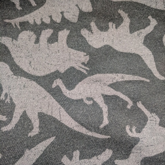 Old Navy full zip hoodie with dinosaurs size 2T - Picture 4 of 6